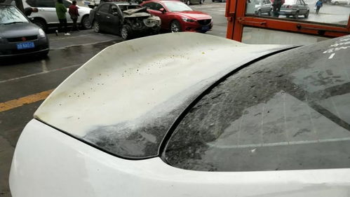 全國首例起亞k2寬體改裝車,小眾車也能玩出自己的風(fēng)格